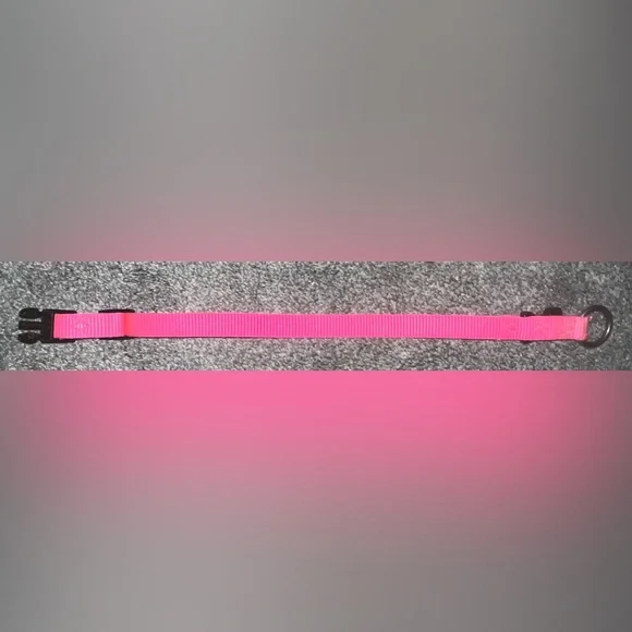 🎉HOST PICK 🎉 Hot Pink Dog Collar - Picture 4 of 7